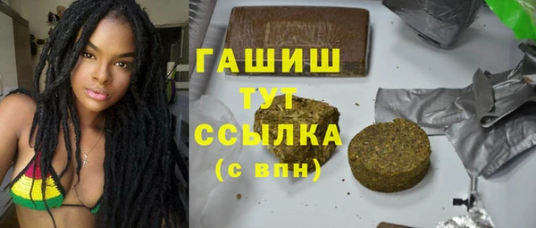гидра Заводоуковск