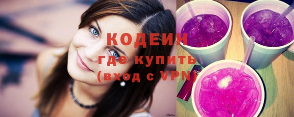 индика Заволжск