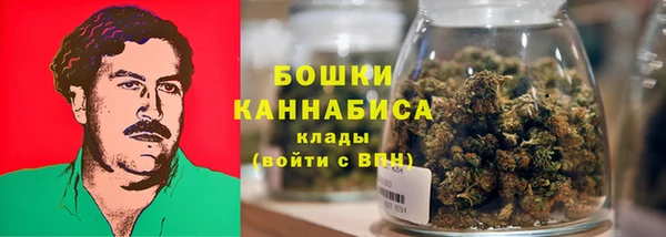 индика Заволжск