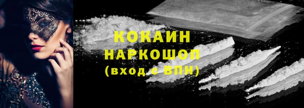 индика Заволжск