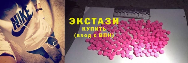 индика Заволжск