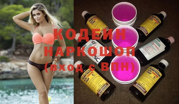 индика Заволжск