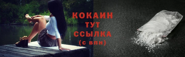 гидра Заводоуковск