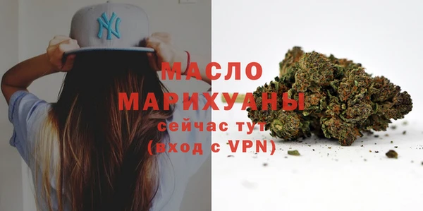 индика Заволжск