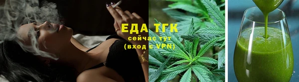 гидра Заводоуковск
