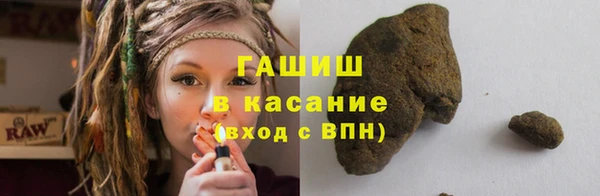 индика Заволжск