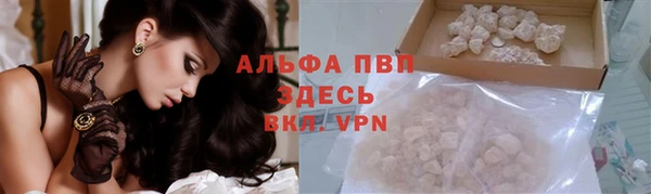 гидра Заводоуковск