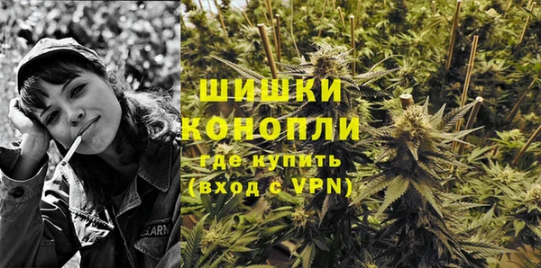 индика Заволжск