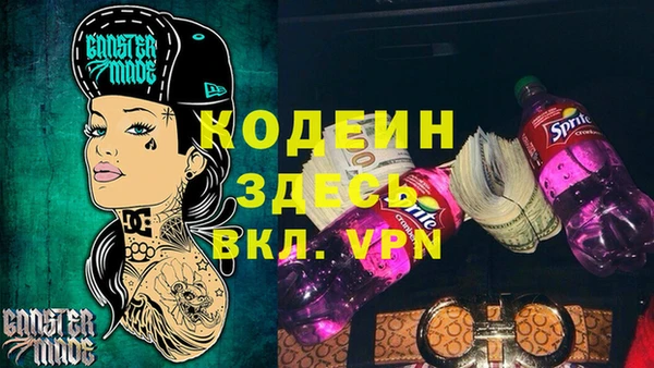 индика Заволжск