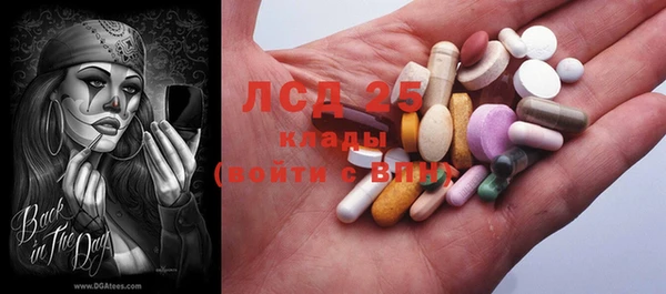 индика Заволжск