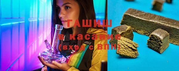 гидра Заводоуковск