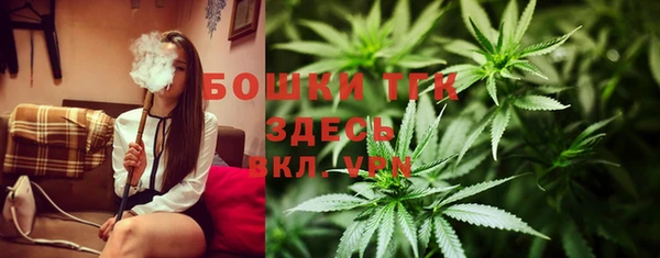 гидра Заводоуковск