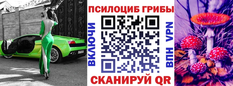 Псилоцибиновые грибы мицелий  Купить закладки  Бородино 